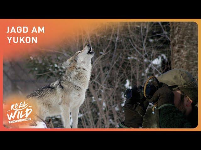 Jagd am Yukon: Extremes Klima, Extremes Leben | Real Wild Deutschland