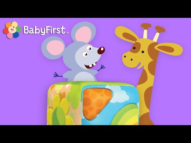 BabyFirst TV: Wonderbox | Fun Cartoons, Learn Colors, Numbers and More | Preschool Videos