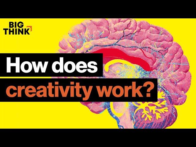 Creativity: The science behind the madness | Rainn Wilson, David Eagleman & more | Big Think