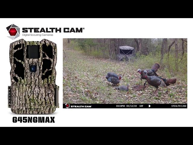 GSM Outdoors - NEW Stealth Cam G45NGMAX