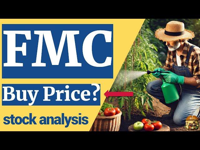 Is FMC Stock Undervalued? My Deep Dive Explained