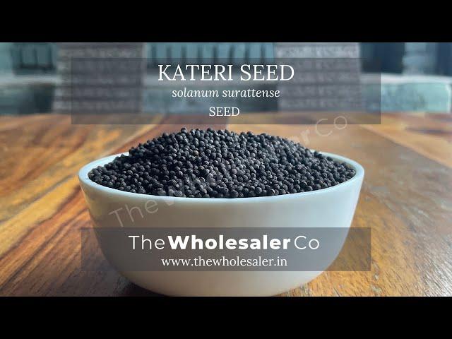 Kateri seed - Solanum surattense - TheWholesalerCo