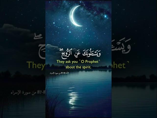 قرآن كريم  | فارس عباد