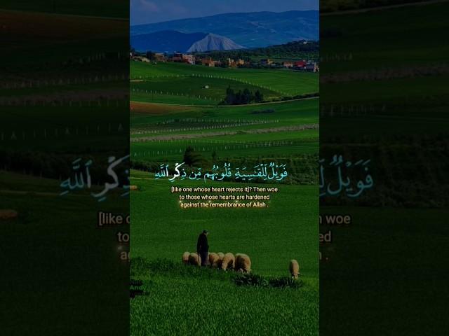 القرآن الكريم بصوت رائع جدا #القرآن_الكريم #المصحف #أشترك #الأن