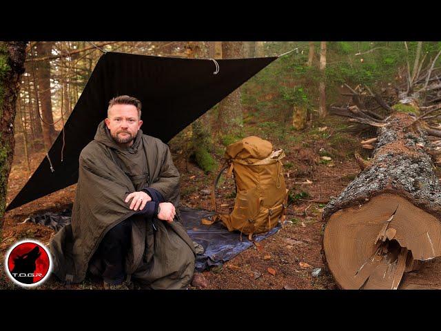 Not ALONE - Surrounded by Predators in a Foggy Forest Camp