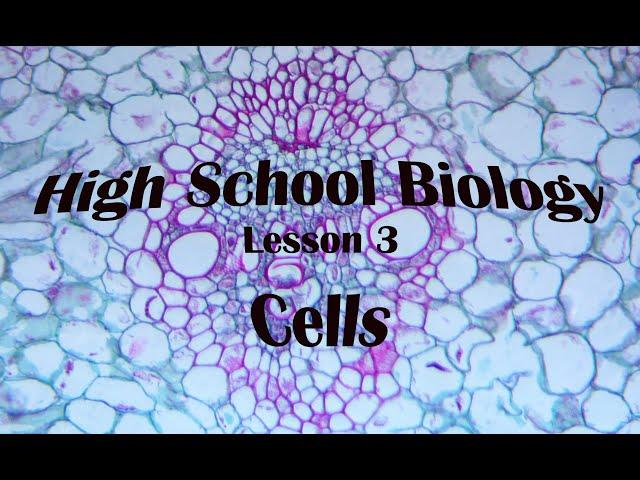 Biology 1 Lesson 3 Cells