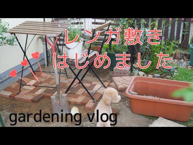 【ガーデニングvlog】レンガ敷きに挑戦/9月中旬の庭の花/可愛い犬
