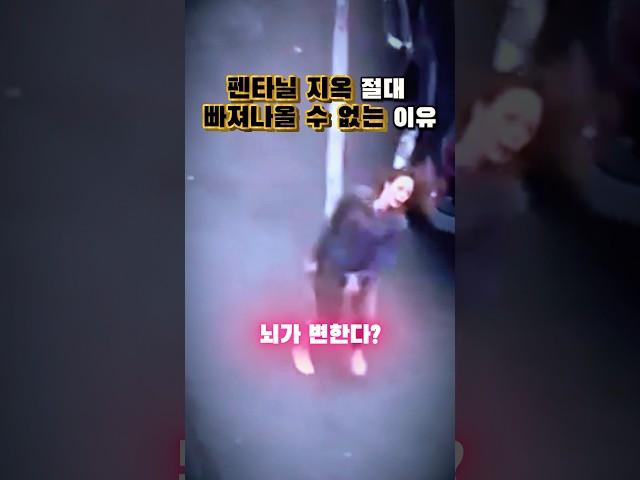 펜타닐 지옥 절대 빠져나올 수 없는 이유 #사회 #미국 #마약 #중독성 #약물부작용 #심리 #이슈 #뉴스 #fentanyl #drug #drugaddiction #정신건강 #도파민