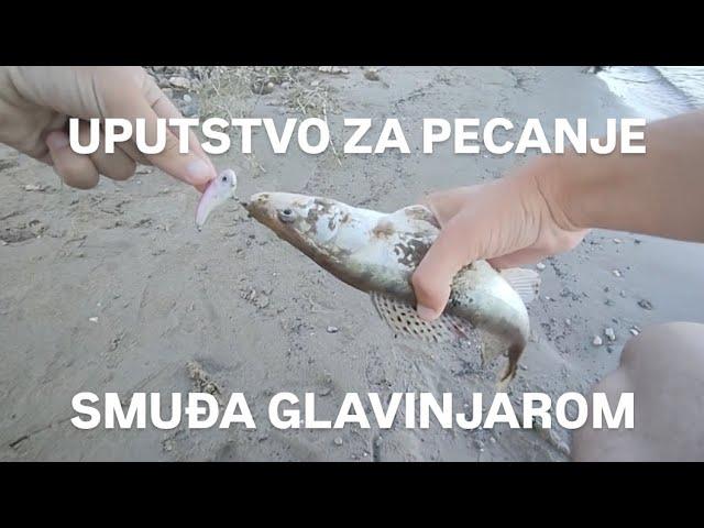 UPUTSTVO ZA PECANJE SMUĐA GLAVINJAROM 