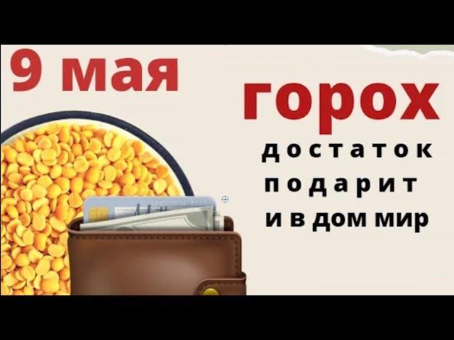 9 мая день Глафиры. Считается что горох в этот день волшебный