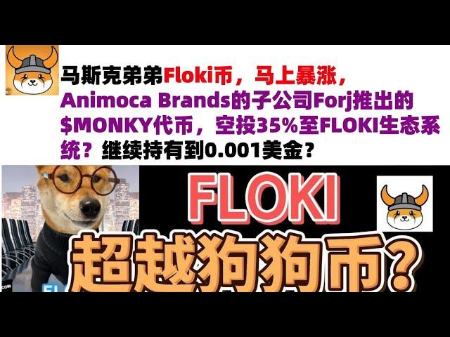 马斯克弟弟Floki币，马上暴涨，Animoca Brands的子公司Forj推出的$MONKY代币，空投35%至FLOKI生态系统？继续持有到0.001美金？马斯克弟弟发行币|Floki币行情分析！