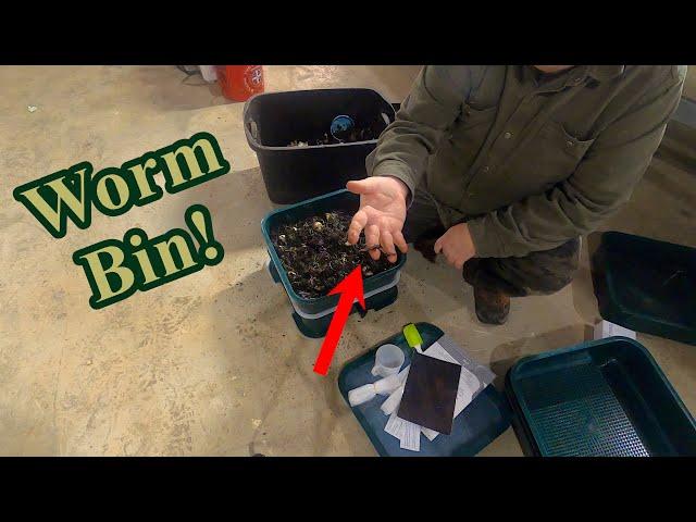 I bought an Amazon's Choice Worm Bin!!!