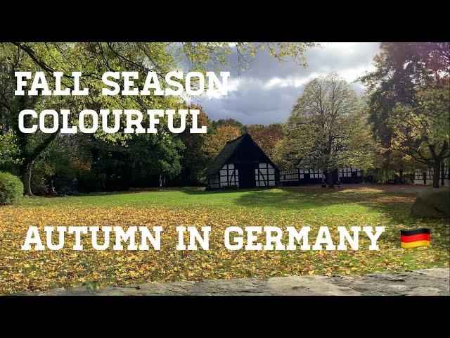 Autumn in Germany | Fall season | One of the best Earth’s season | #autumn @justherenthere1988