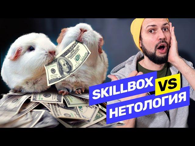 Skillbox vs Нетология — сравнение курсов по фронтенду. Что такое frontend? @vadilyin