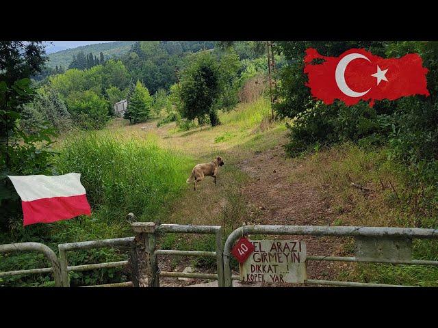 Polish Village in Turkey?! (Polonezköy, Türkiye)  