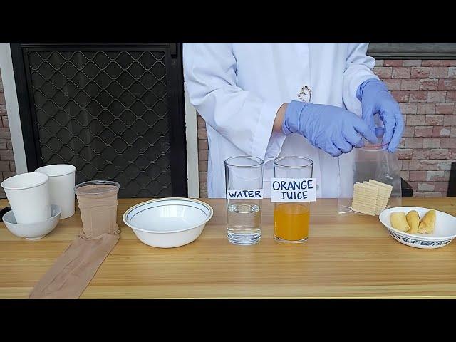 Digestive System Demo- Do it at Home Experiment