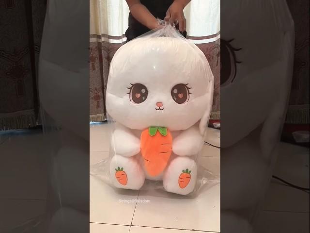 Chinese Teddy Bears Are So Cute & Soft  #shortvideo