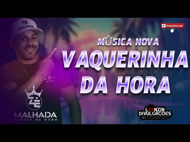 VAQUERINHA DA HORA -  ZÉ MALHADA