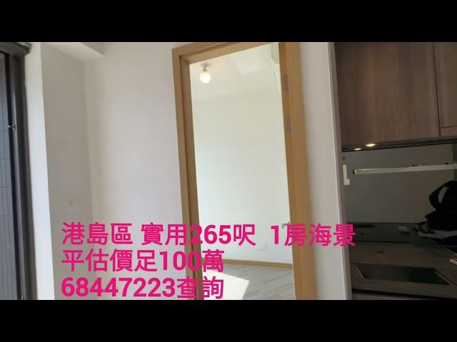 平成100萬有多‼️銀主盤 ‼️海景‼️港島南區1房  9成按揭