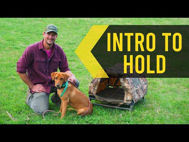 Intro to Hold