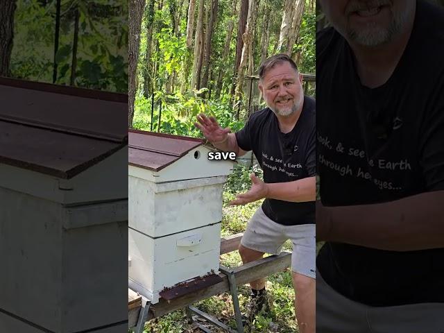 Our Beehive SWARMED! Too Much HONEY!