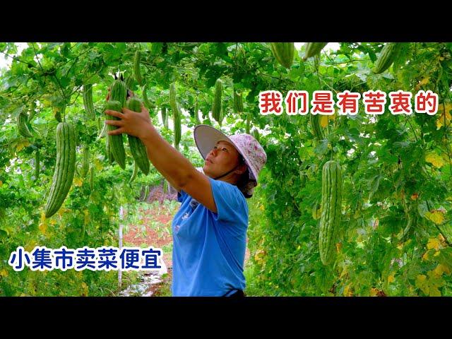 小集市摆摊卖菜，太便宜了，我们不愿去大集市，真的是有苦衷的
