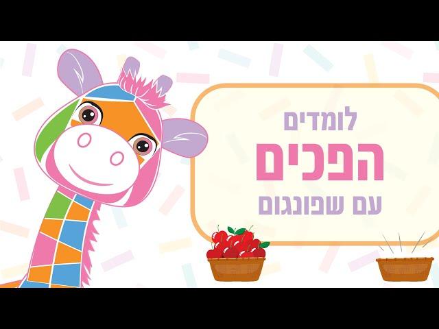 לימוד הפכים לילדים | לומדים עם שפונגום הג'ירפה