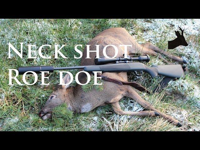 Roestalker: Neck shot roe doe.