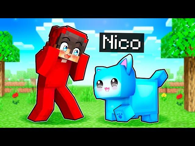 Nico Is Cash’s Cat In Minecraft!