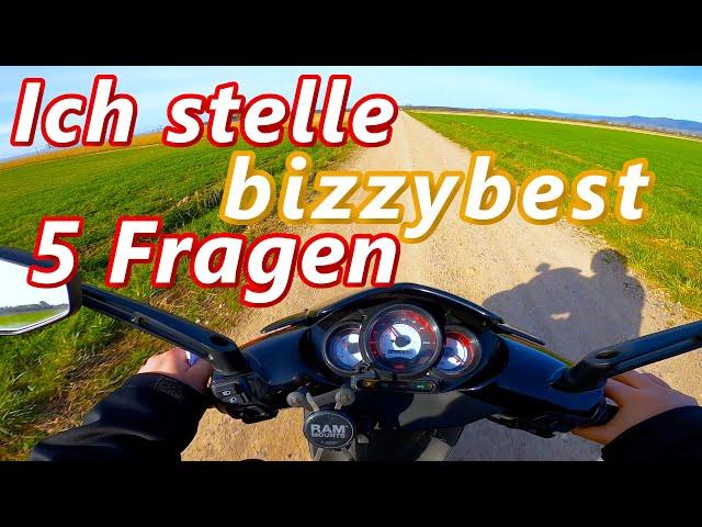 Meine 5 Fragen an Bizzybest