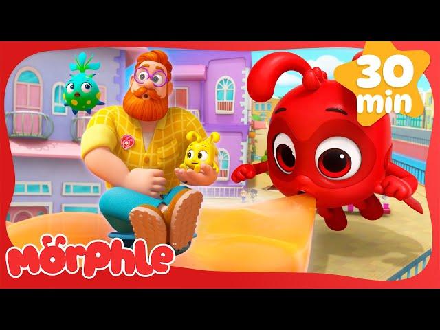 Morphle Family The Floor is Lava |  Mila and Morphle | Fun Cartoons for Kids