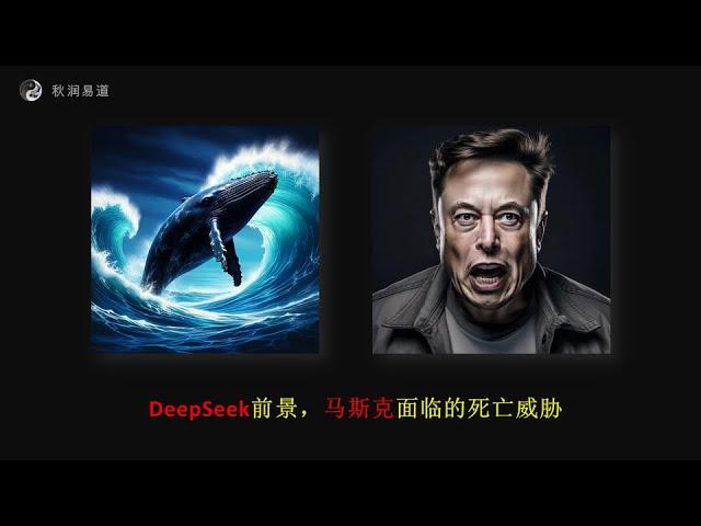 DeepSeek是否有前景，马斯克面临生命危险吗？