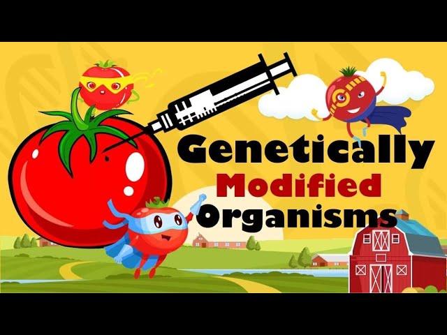 GMO- Genetically Modified Organisms (Benefits, Risks, Biosafety and Philippine Context)