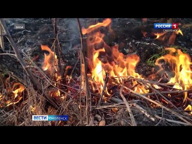 ГТРК Смоленск - в Смоленской области наступил сезон палов травы