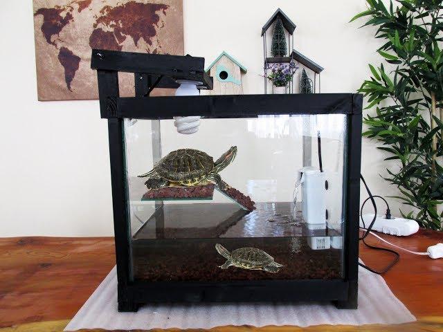 Turtle Tank Setup