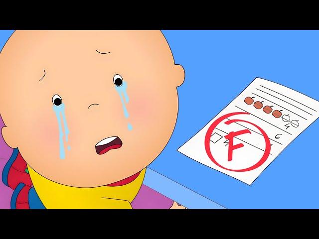 O Fracasso Escolar de Caillou | Caillou em Português - WildBrain