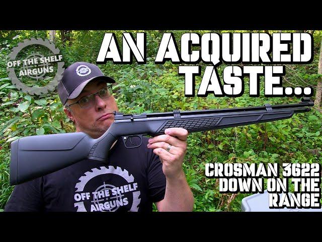 Crosman 3622 PCP Air Rifle - Down On The Range