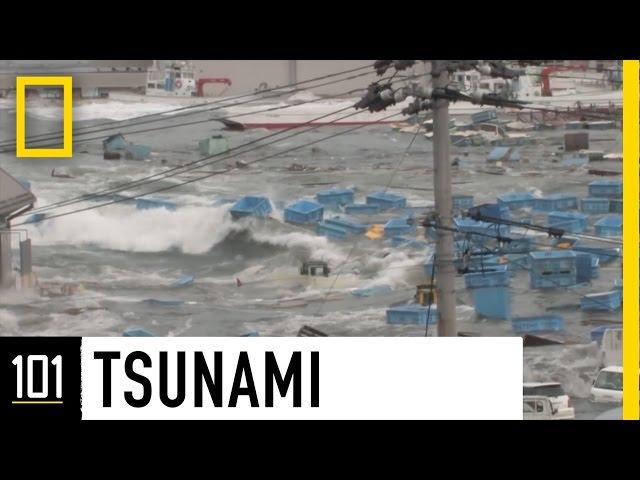 Tsunamis 101 | National Geographic