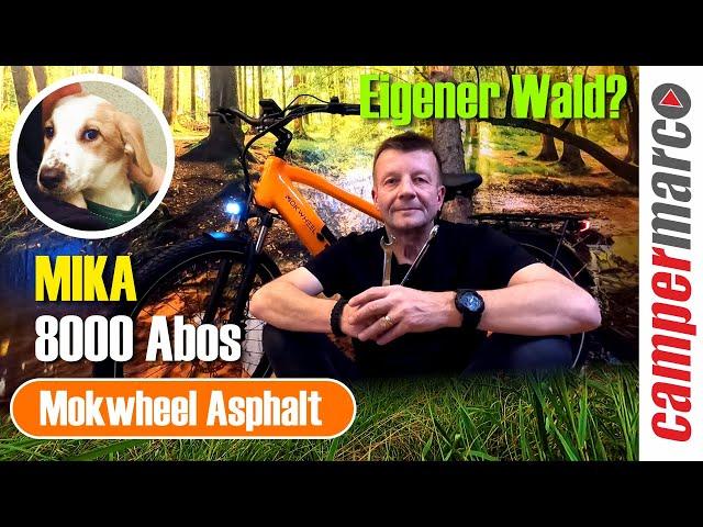 Mokwheel Asphalt | Wald gekauft? | 8k Abos | neues Familienmitglied: Mika