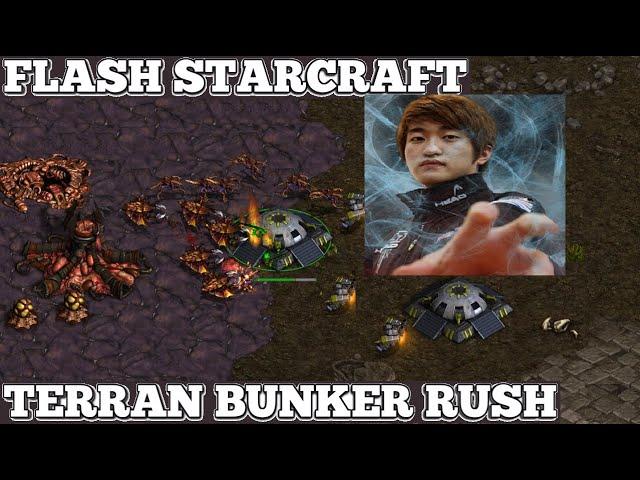 Starcraft FLASH vs STARGANGE2 TvZ SC Remastered Broodwar 2024 LADDER