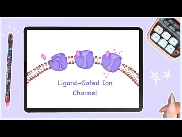 Ligand Gated Ion Channels - Cell Signaling