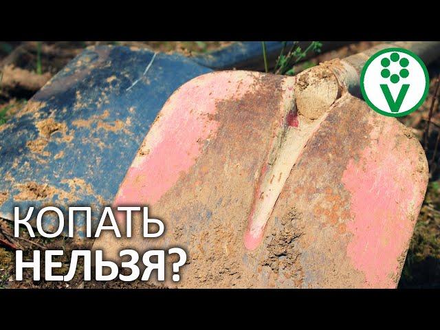 НУЖНА ЛИ ПЕРЕКОПКА ПОЧВЫ? Кратко о глубокой обработке почвы