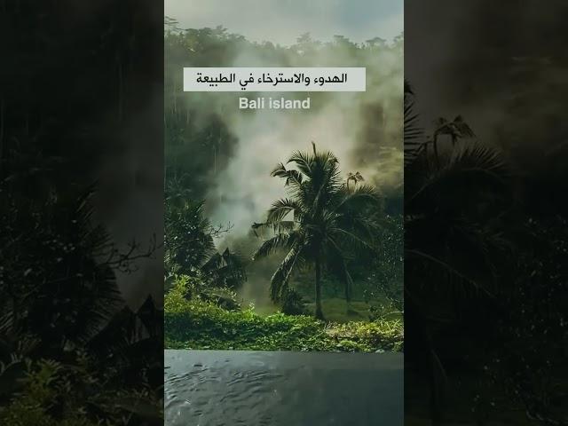 منتجعات بالي|السياحه في جزيرة بالي|#اندونيسيا #indonesia #بالي #bali