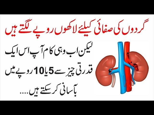 Kidney Ki Safai Karain Sirf 5 Ya 10 Rupay Main | Urdu Lab