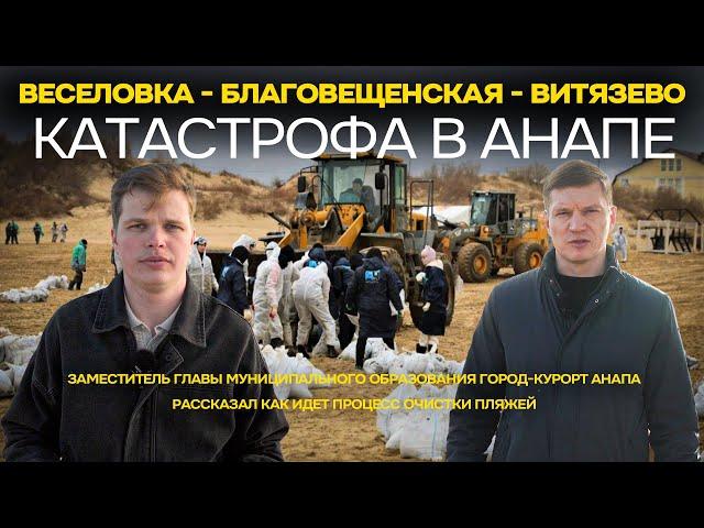 Анапа в мазуте - Очистка пляжей и моря! Экологическая катастрофа 2024г.