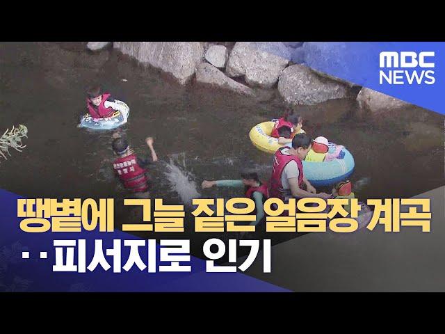 땡볕에 그늘 짙은 얼음장 계곡.. 피서지로 인기 (2023.08.04/뉴스데스크/여수MBC)
