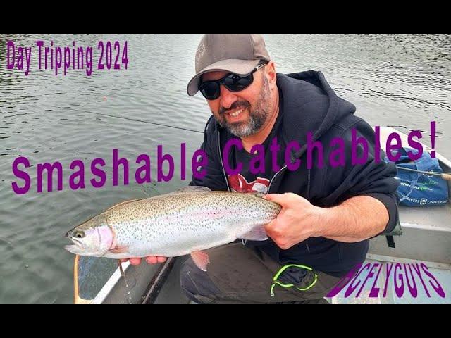 Stillwater Fly Fishing: Smashable Catchables - BCFLYGUYS Day Tripping S02E01