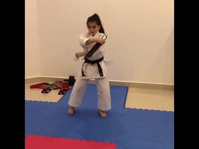Anil shariatpanahi nanchaku kata