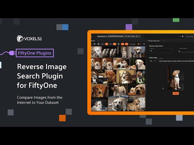 FiftyOne Computer Vision Plugins: Reverse Image Search Plugin