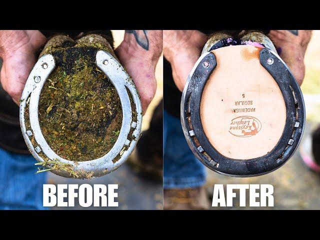 Satisfying Full Horse Hoof Restoration | 4K FARRIER ASMR